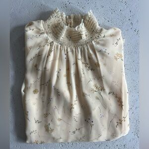 Aritzia Wilfred Chiffon Blouse (Valencia Top)